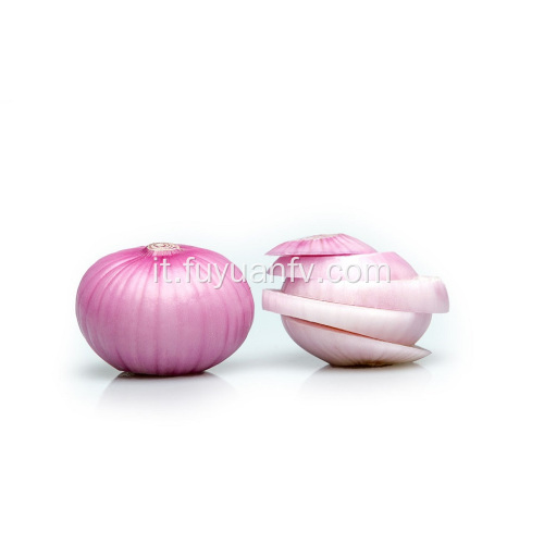 Fresh Good Qulality Red Onion